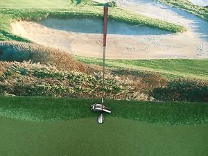 Titleist RH 816H1 25° Hybrid w/Regular Graphite Shaft and Head Cover image 1