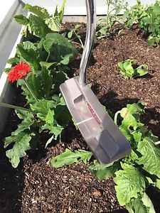 taylor made Long Beach Tour Proto Long Putter with Ski Pole image 1