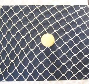 40' x 15'  WHITE DIAMOND NYLON GOLF IMPACT BACKSTOP NETTING 1"  #18 TEST 190 Lb image 1
