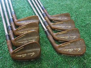CLEVELAND TOUR ACTION TA1 FORM FORGED GUNMETAL IRON SET 2-PW EXTRA STIFF agc image 1