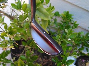 Spalding TP Mills TPM 7 with Luxurious Black Nickel/new Royal Grip image 1