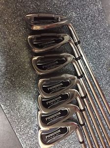 Pinhawk Single Length Iron Set 5-sw Regular Shafts Lightly Used Jumbo Grips image 1