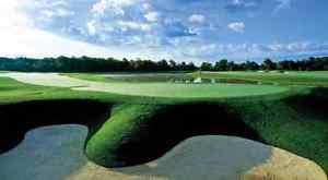 Grand Niagara - Foursome + Carts + Dozen TaylorMade Golf Balls image 1