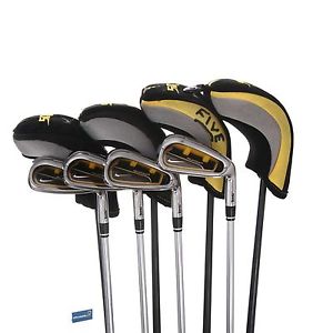Nike Sumo 2 Steel Irons 4-SW /  Regular Shaft True Temper Super Light image 1