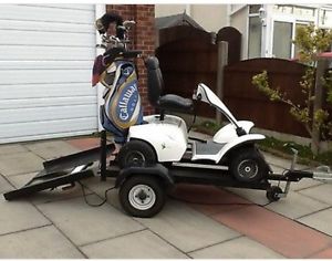 Grasshopper Junior Golf Buggy with Trailer &amp; Seperate Aluminium Ramps image 1