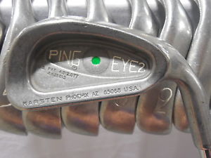 Used RH Ping Eye 2 Iron Set 3-PW Ping DGX Steel Extra Stiff Flex Green Dot S image 1