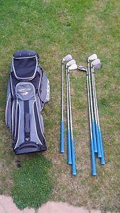 Nike vapour fly irons + cobra standbag image 1
